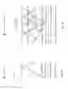 Fig. 03 - Railway actuated energy generating device