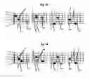 Fig. 15 - Method for guitar instruction