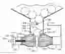 Fig. 01 - Peeling cup for fruit juice extraction device