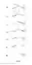 Fig. 07 - NEWSPAPER PRODUCT AND METHOD AND APPARATUS FOR PRODUCING A PRODUCT