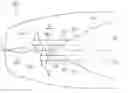 Fig. 01 - Stern structure of ship