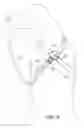 Fig. 09 - DOG LEASH SYSTEM WITH CONVERTIBLE COLLAR AND HARNESS