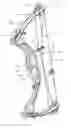 Fig. 01 - Archery bow in-line cable guard and methods