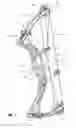 Fig. 02 - Archery bow in-line cable guard and methods