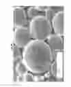 Fig. 05 - PARTICLES WITH CHARGED SURFACE DOMAINS