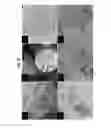 Fig. 17 - PARTICLES WITH CHARGED SURFACE DOMAINS