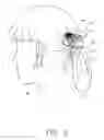 Fig. 06 - Hair Holder