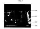 Fig. 08 - Thin film solar cells and method of manufacturing the same
