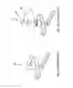 Fig. 02 - HANDLE FOR SINGLE LEVER MIXER TAP