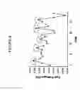 Fig. 09 - Method for solid oxide fuel cell fabrication