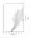 Fig. 10 - WELLBORE SERVICE FLUID AND METHODS OF USE