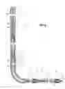 Fig. 07 - Method and apparatus for separating downhole hydrocarbons from water