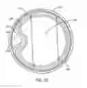 Fig. 12 - Container with Reduced, Peel-Off-Force Tear Configuration