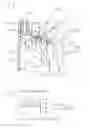 Fig. 02 - RECLOSABLE PACKAGING WITH A FILM AND A LID COMPRISING A PLUG SECTION