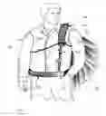 Fig. 03 - DEVICE AND METHOD FOR CARRYING A TURKEY