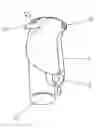 Fig. 01 - SPRAY DEVICE