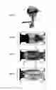 Fig. 08 - Method of attenuating noise in aircraft landing gear and structure