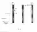 Fig. 09 - Method and apparatus for charged particle beam inspection