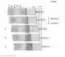 Fig. 12 - Method and apparatus for charged particle beam inspection