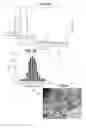 Fig. 08 - Magnetic-core polymer-shell nanocomposites with tunable magneto-optical and/or optical properties