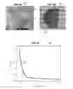 Fig. 13 - Magnetic-core polymer-shell nanocomposites with tunable magneto-optical and/or optical properties