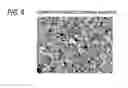 Fig. 06 - Conductive sintered oxide, thermistor element including the same, and temperature sensor including the same