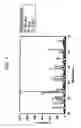 Fig. 02 - Conductive sintered oxide, thermistor element including the same, and temperature sensor including the same