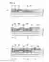 Fig. 09 - Use of a magnetic body in a method for manufacturing an organic EL element to improve the precision of transfer of an organic donor layer and an organic EL device manufactured by the same method