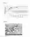 Fig. 02 - LIGHT EMITTING DEVICE AND MANUFACTURING METHOD THEREOF
