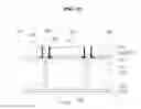 Fig. 15 - Light emitting device