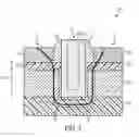 Fig. 02 - Field effect transistor device with shaped conduction channel