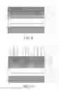 Fig. 06 - Semiconductor device and method of manufacturing the same