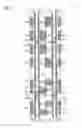 Fig. 06 - SUB WORD LINE DRIVER AND APPARATUSES HAVING THE SAME