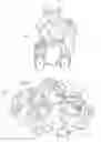 Fig. 02 - Puzzle With Washable Pieces