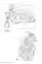 Fig. 03 - Puzzle With Washable Pieces