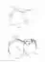 Fig. 04 - Foot propelled vehicle