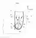 Fig. 10 - Side airbag device for vehicle