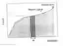 Fig. 01 - Polyester fabrics for airbag and preparation method thereof