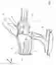 Fig. 05 - Motor vehicle body having structure-reinforcing front frame attachment