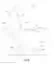 Fig. 07 - Chair