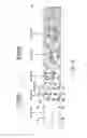 Fig. 04 - Continuously formed annular laminated article and method for its manufacture