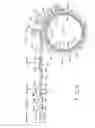 Fig. 06 - Continuously formed annular laminated article and method for its manufacture