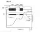 Fig. 19 - Ceramic electronic component and method for manufacturing the same