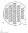 Fig. 06 - Piezoelectric vibrating devices including respective packages in which castellations include respective connecting electrodes