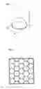 Fig. 04 - Substrate and organic EL light-emitting apparatus