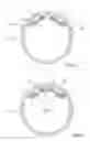 Fig. 05 - LED lamp tube
