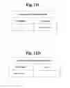 Fig. 12 - DEVICE MANAGEMENT SYSTEM, METHOD AND APPARATUS