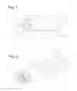 Fig. 02 - MOTOR VEHICLE WITH DIGITAL PROJECTORS