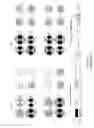 Fig. 03 - Capacitive-matrix keyboard with multiple touch detection