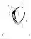 Fig. 71 - 3D GLASSES